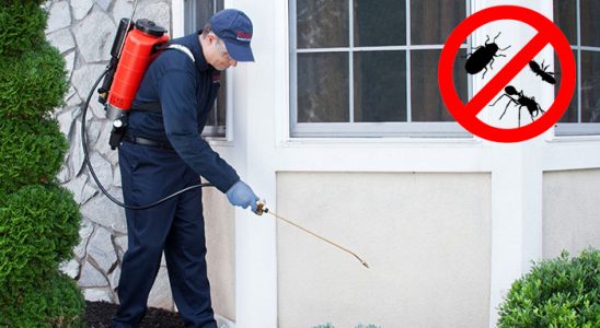 Pursaklar Dezenfeksiyon böcek ilaçlama ve haşere kontrolü — ilaclama-tr.com